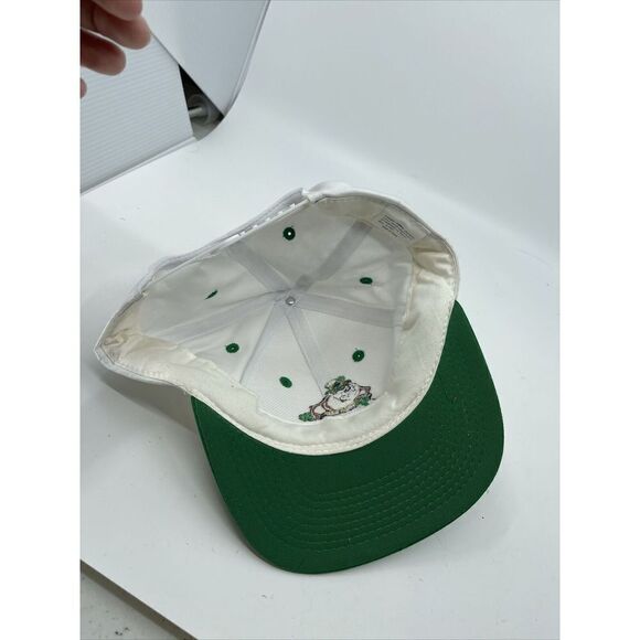 Looney Tunes Snapback Hat Tazmanian Devil “Pot of Gold” 97 Shamrock St Pats Day - Picture 4 of 5